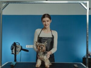 Vet Lopes Pet Shop