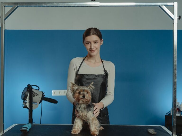 Vet Lopes Pet Shop